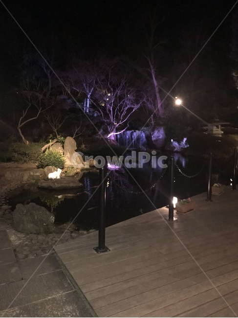 작은연못,연못,자연,밤,산책,야경,밤,풍경,nightscape,night,landscape