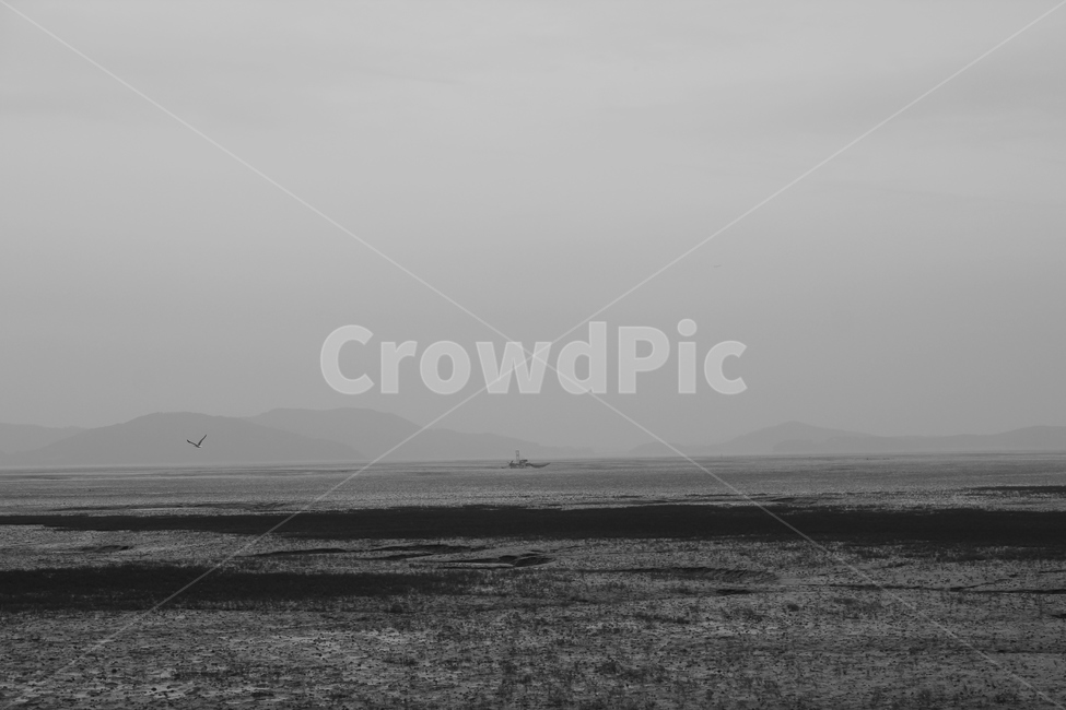 흑백사진,강화도,썰물,갯벌,흑백,서해,뻘,진흙,blackandwhite,mud,saltflats,westsea,한국,korea,afalloftide,ganghwaisland,바다,sea