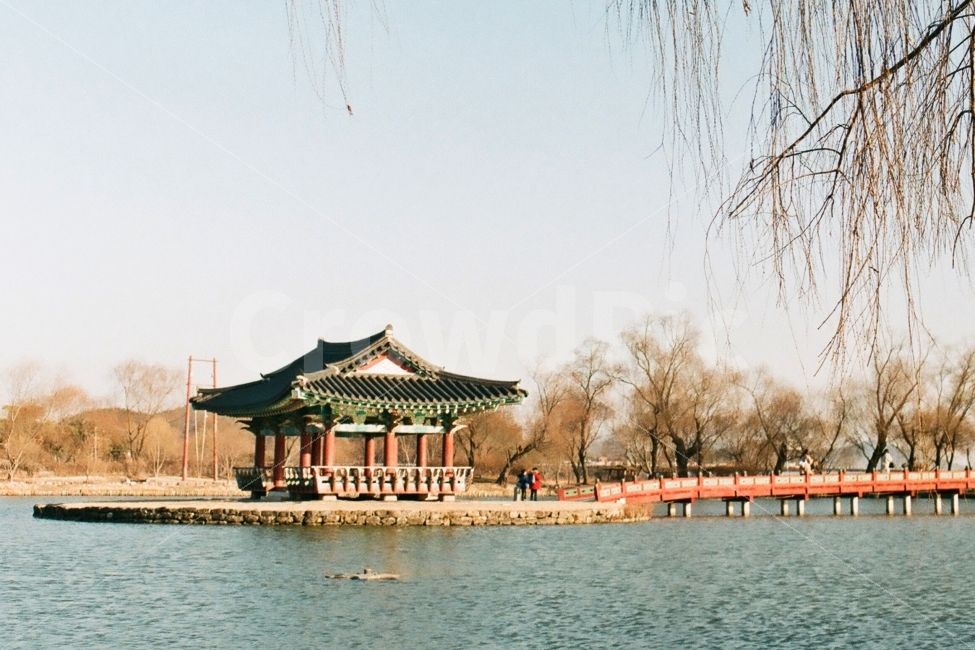 궁남지,부여궁남지,백제,필름사진,필름카메라,랜드마크,landmark,tourist attraction,한국전통,한국문화,korean traditional,korean culture,감성,sensible,feeling