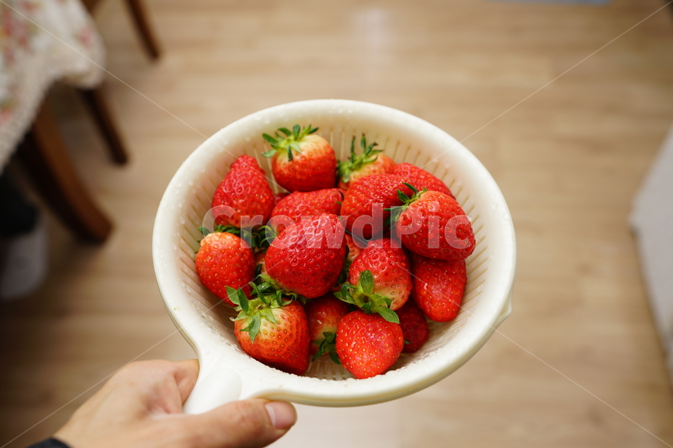 딸기,과일,빨강,레드,비타민,후식,디저트,달달,음식,먹방,빨간색,색감,컬러,새콤달콤,간식,음식,식재료,요리,food,cook,meal,dishes,food reserves,과일,열매,fruit,채소,야채,vegetables
