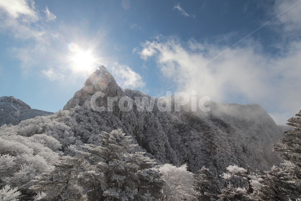 한라산,상고대,설산,겨울,겨울산행,눈꽃,진달래대피소,성판악,관음사,제주도,제주,백록담,겨울,계절,winter,season,자연,풍경,nature,landscape,한국자연풍경,한국자연경관,korea nature landscape,제주도,jeju,jeju island,tree,나무,fir,전나무,plant,식물,abies,아비,outdoors,옥외,ice,얼음,mountain,산