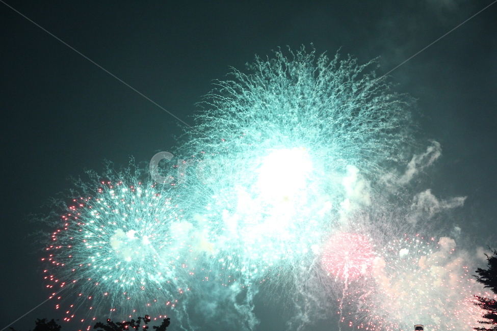 불꽃,불꽃놀이,불꽃축제,야경,한강불꽃축제,야경,밤,풍경,nightscape,night,landscape,축제,행사,festival,carnival,event,nature,자연,outdoors,옥외,fireworks
