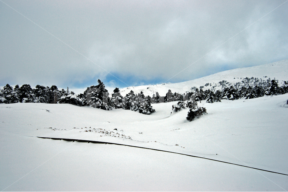 겨울산,한라산,제주도,설경,어리목코스,설산,한라산설경,겨울,눈,겨울,계절,winter,season,자연,풍경,nature,landscape,한국자연풍경,한국자연경관,korea nature landscape
