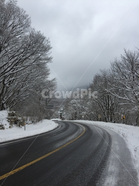 겨울,도로,눈,설경,눈꽃,겨울,계절,winter,season,자연,풍경,nature,landscape,교통,교통수단,traffic,transportation,road,freeway,고속 도로,highway,고속도로