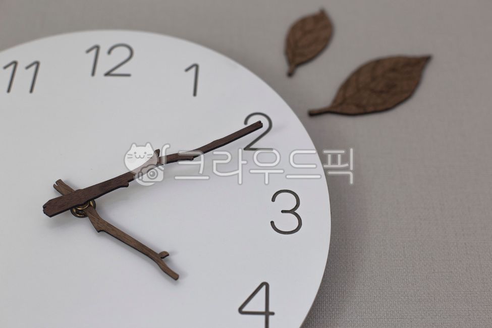시계,시간,아날로그,나뭇잎,사물,벽시계