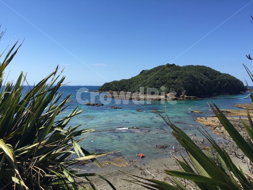 뉴질랜드,자연,하늘,날씨,나무,바다,산,newzealand,mountain,cloud,sky,ocean,sea,plant,식물,land,나라,outdoors,nature,옥외