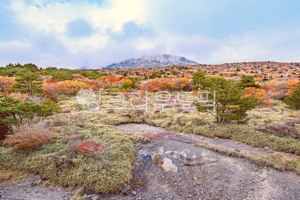 산,한라산,mountain,자연,풍경,야외,가을,제주,nature,landscape,outdoors,autumn,jeju