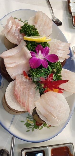 회,생선,요리,횟집,모듬회,음식,식재료,요리,food,cook,meal,dishes,food reserves,수산물,해산물,fishery products,seafood,일식,일본음식,일본요리,Japanese food,Japanese dishes,Japanese meal,Japanese cook