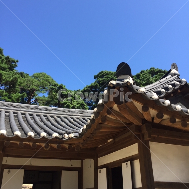 오죽헌,강원도,전통가옥,강릉,기와집,기와,한국전통,한국문화,korean traditional,korean culture,랜드마크,landmark,tourist attraction,한국랜드마크,한국관광지,한국명소,korea landmark,korea tourist attraction,건축물,건물외관,exterior,building,structure,architecture,construction