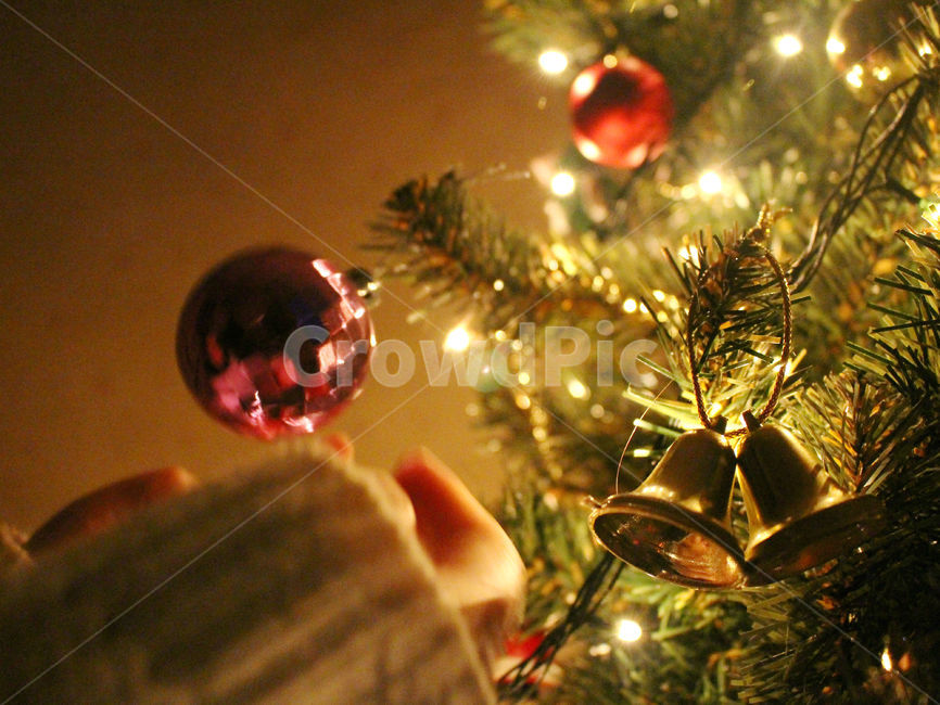 크리스마스,크리스마스트리,크리스마스장식,성탄절,감성사진,christmas,메리크리스마스,체크,빨강,빨간색,초록,초록색,tree,red,green,빛,손,사람,겨울,계절,winter,season,기념일,축하,anniversary,congratulation,celebrate,celebration,메리크리스마스,성탄절,merry christmas