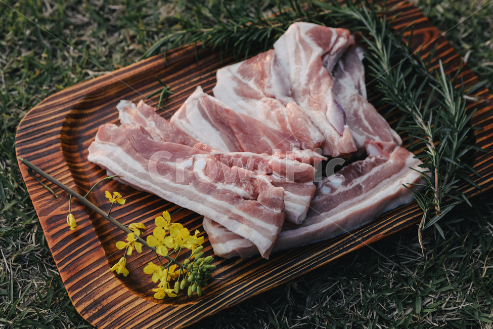 돼지고기,돼지,흑돼지,바베큐,bbq,고기,파티,party,pork,roastpork,meat,barbecue,grill,음식,식재료,요리,food,cook,meal,dishes,food reserves,육류,고기,meat