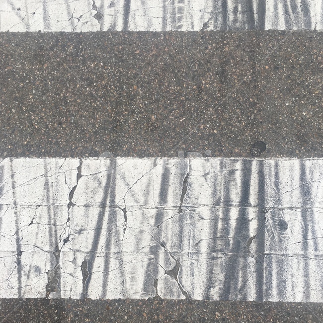 횡단보도,바닥,길,스키드마크,흔적,일상,브레이크,도로,아스팔트,road