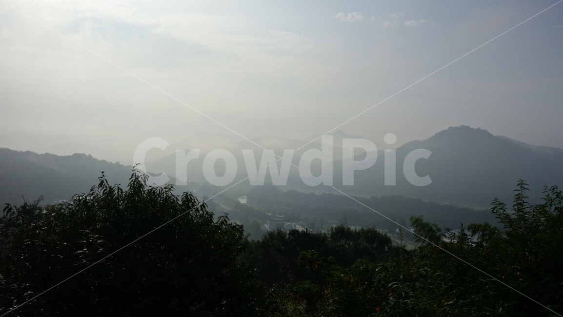 숲,하늘,담양,죽림원,배경,감성,대나무,나무,구름,홈페이지,자연,풍경,nature,landscape,outdoors,옥외,weather,날씨
