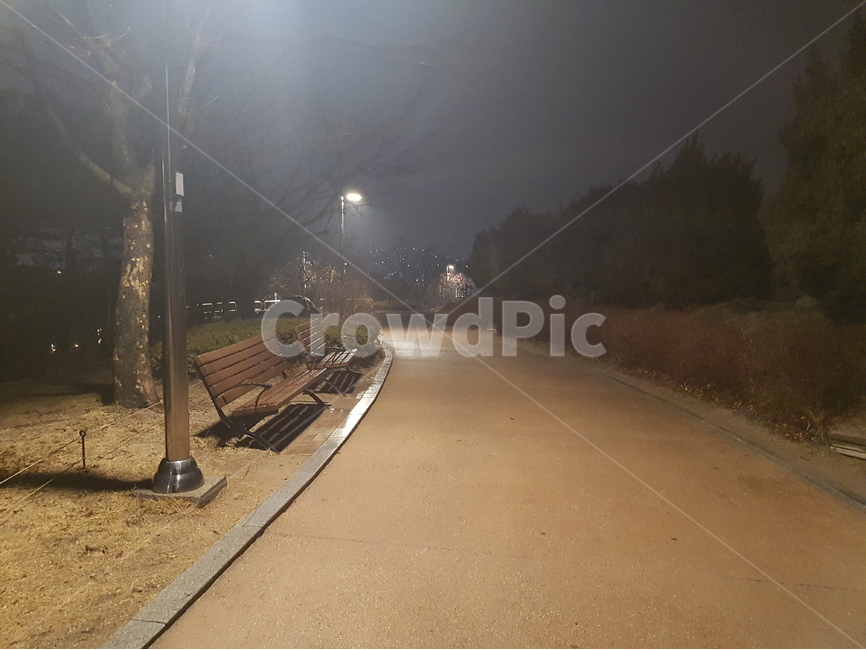 밤,산책로,벤치,나무,가로등,야경,밤,풍경,nightscape,night,landscape,도시,city,asphalt,아스팔트