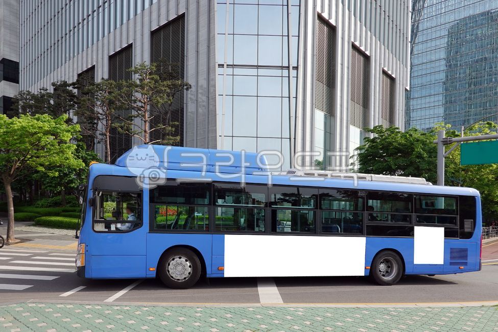 버스,버스광고,목업,목업이미지,광고,빌보드,차량광고,시내버스광고,옥외광고,패널,비즈니스,상업광고판,도시배경,배경,간판,상업광고,상업용,광고디자인,빈공간,시티,수송,거리,차,도로,건물,도시의,교통,건축물,도시,차량,bus,busadvertisement,mockup,mockupimage,advertisement,billboard,vehicleadvertisement,citybusadvertisement,outdooradvertisement,business,commercialbillboard,citybackground,background,signboard,commercialadvertisement,commercial,frame,advertisingdesign,emptyspace,city,transport,street,transportation,car,road,building,urban,traffic,architecture,town,vehicle