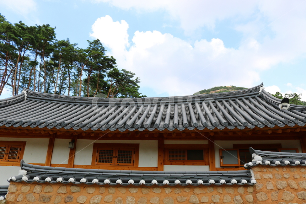 기와집,기와,진관사,절,나무,옛날집,한국전통,한국문화,korean traditional,korean culture,건축물,건물외관,exterior,building,structure,architecture,construction