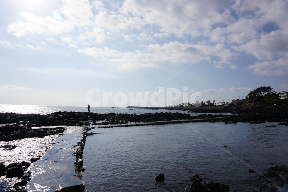제주도,바다,섬,바다낚시,낚시,풍경