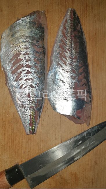 전갱이,회,아지,아지회,손질