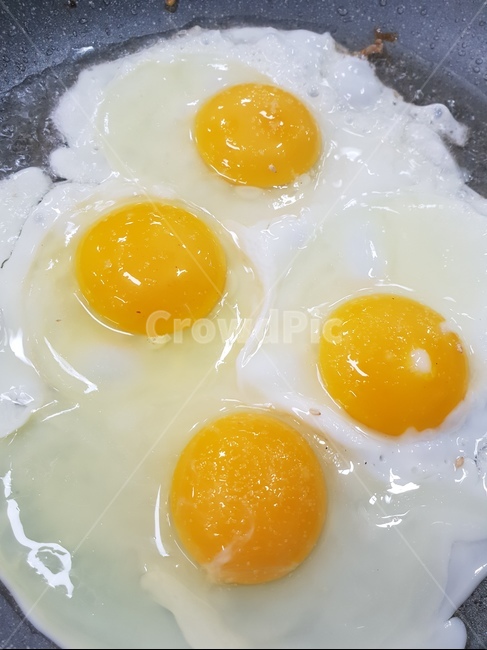 계란후라이,유기농,아침,반찬,농업,반숙,건강,음식,식재료,요리,food,cook,meal,dishes,food reserves
