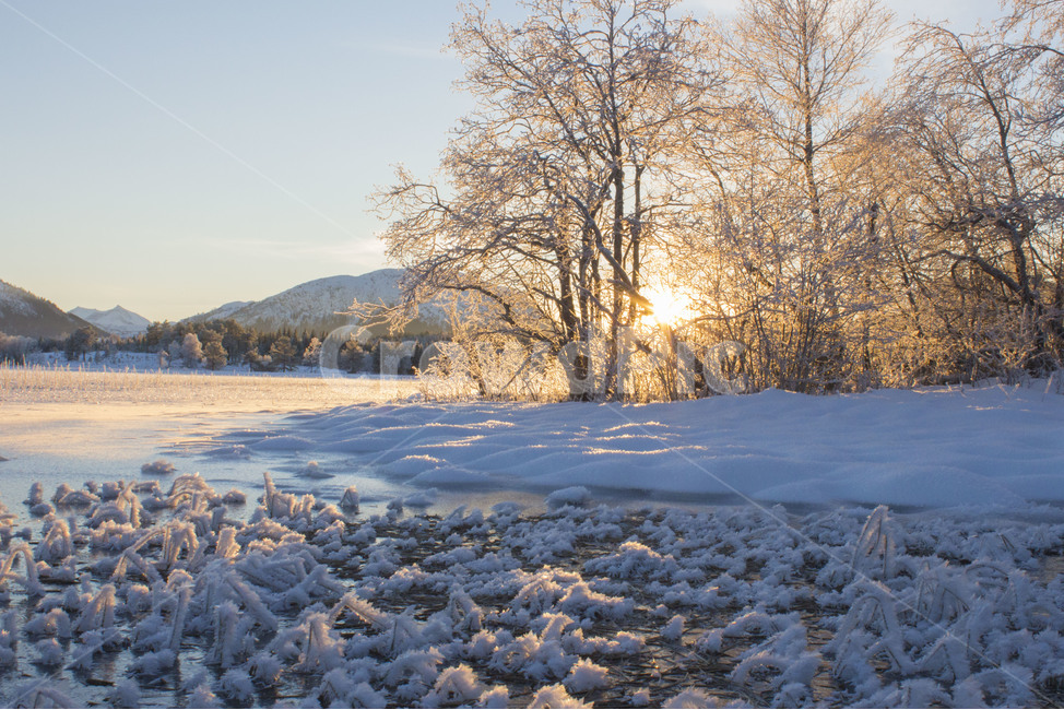 겨울,나무,winter,눈,해,겨울,계절,winter,season,자연,풍경,nature,landscape,outdoors,옥외