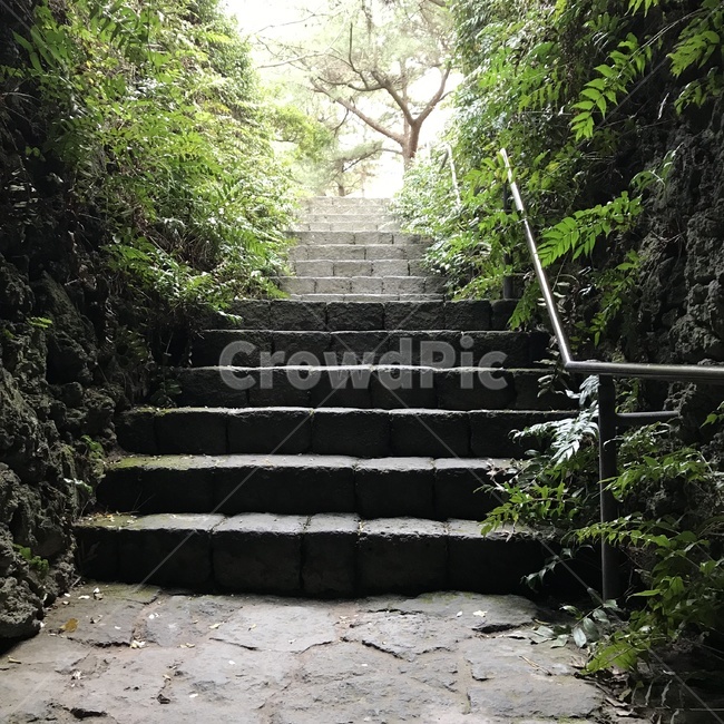 동굴,제주도,신비,자연,감성사진,자연,풍경,nature,landscape,flagstone,판석,staircase,계단,arbour,정자,outdoors,옥외,garden,정원,slate,슬레이트
