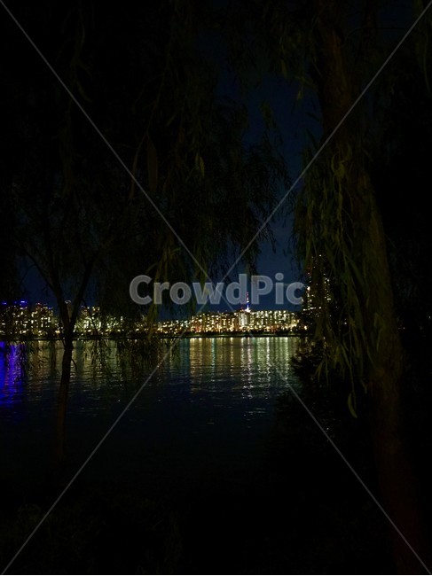 야경,한강,light,수천,서울야경,nightscape,야경,밤,풍경,nightscape,night,landscape,도시,city,water,물,tree,나무,plant,식물,nature,자연,outdoors,옥외