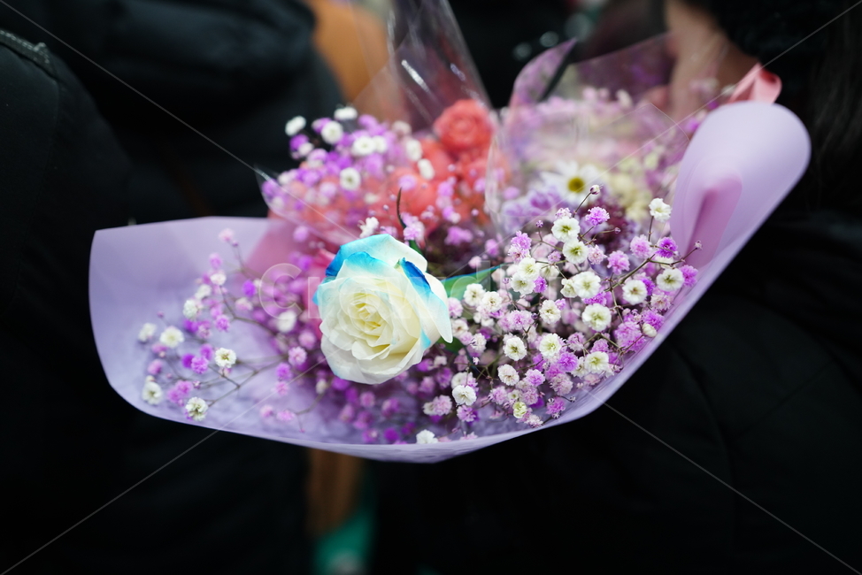 꽃,플라워,식물,생물,선물,꽃다발,졸업,행사,flower,flowerbouquet