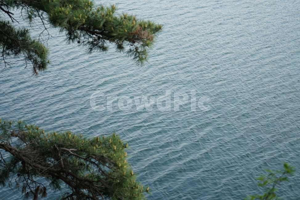 금평저수지,저수지둘레길,금산사저수지,댐,김제저수지,김제금평저수지,전주둘레길