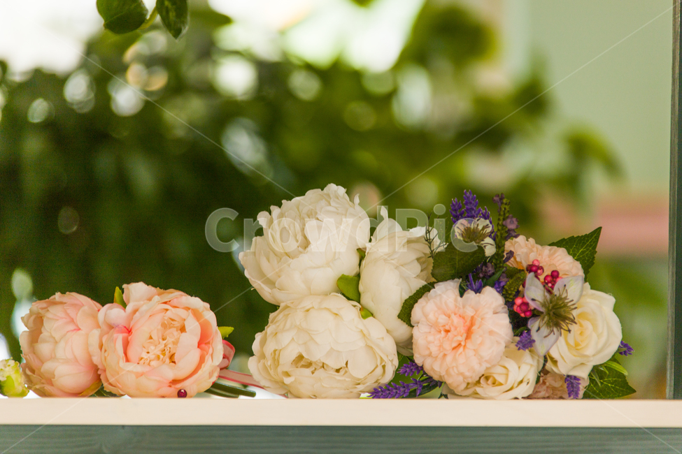 꽃,장미,봄,힐링,감성,식물,자연,plants,nature,꽃,flower,감성,sensible,feeling