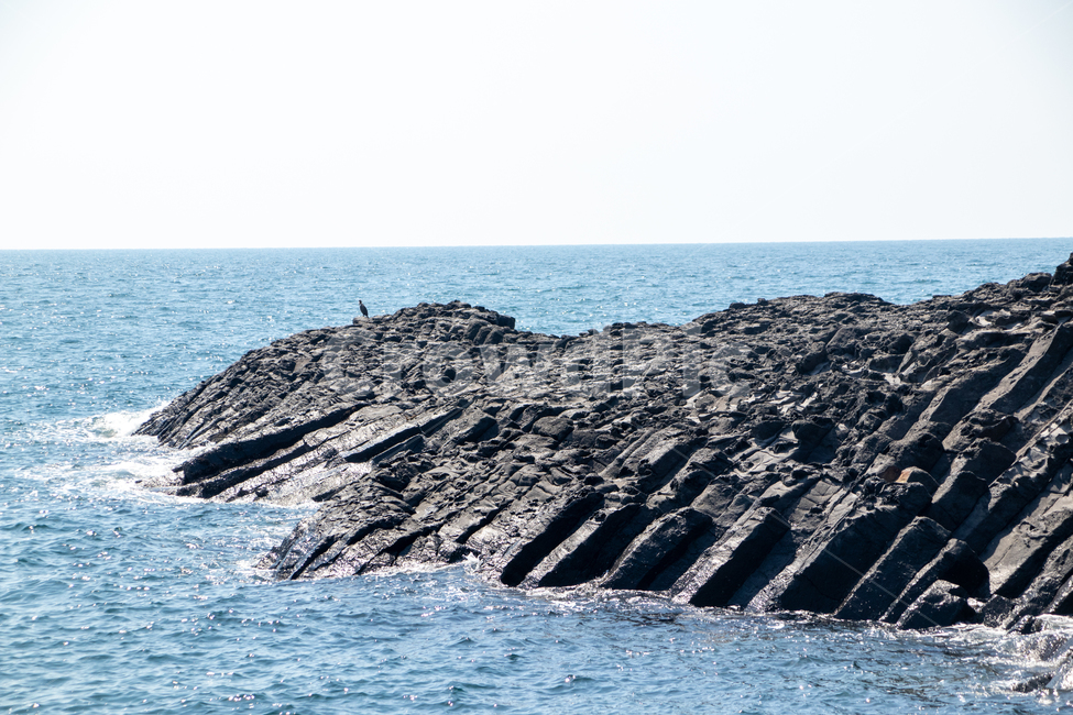 자연,제주도,바다,바위,주상절리,자연,풍경,nature,landscape,제주도,jeju,jeju island