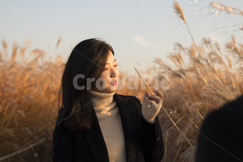커플,연인,하늘공원,모델,갈대밭,일반인,사람,인물,인간,human,person,여성,여자,woman,female,lady