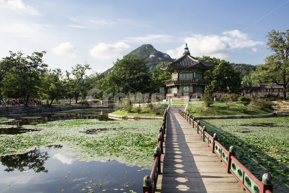 경복궁,향원정,건축물,건물,architecture,한국전통,한국문화,korean traditional,korean culture,건축물,건물외관,exterior,building,structure,architecture,construction