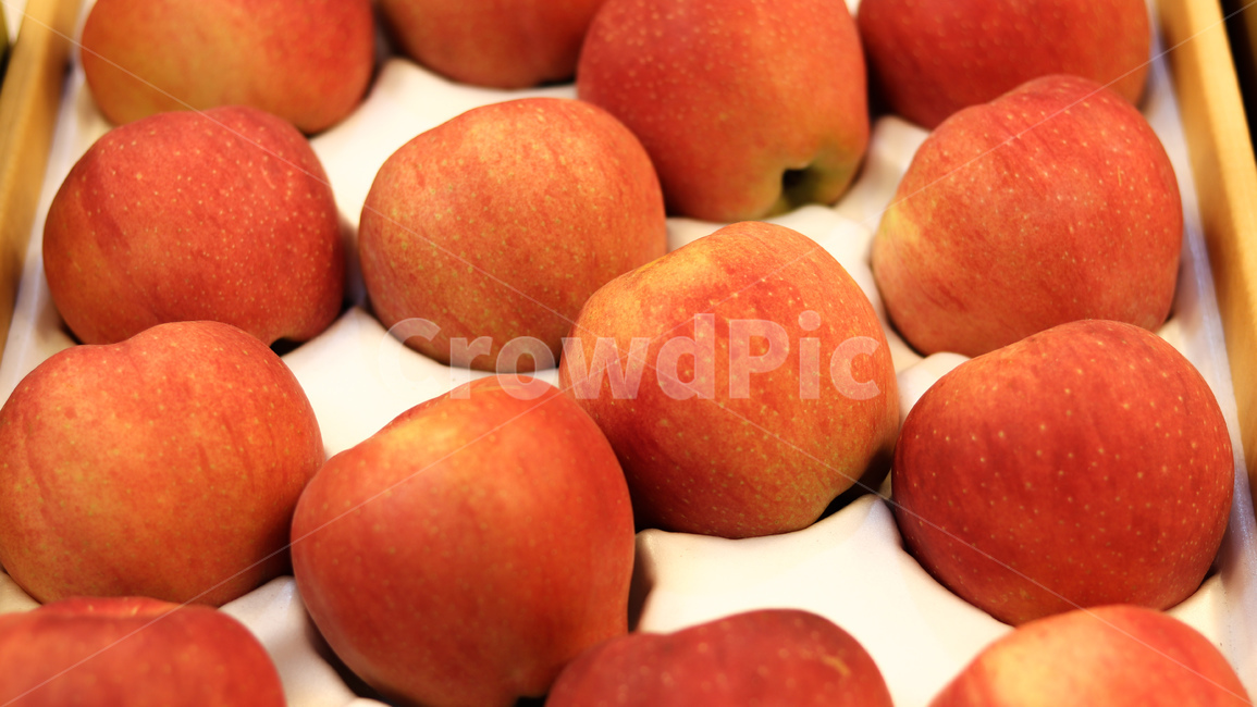 사과,과일,fruit,apple,애플,과일,열매,fruit