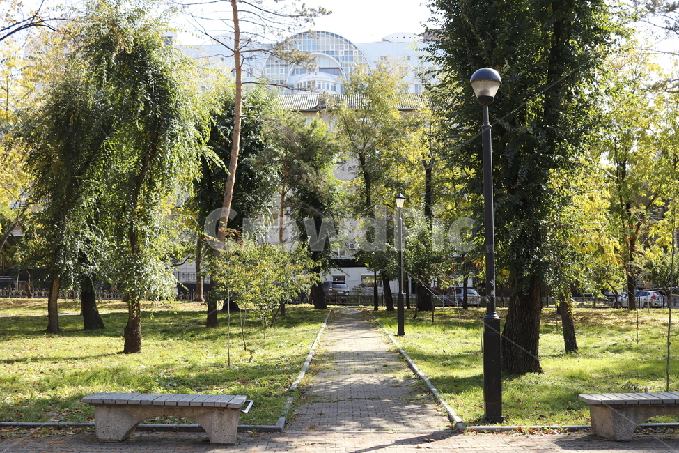 정원,garden,공원,park,나무,자연,식물,식물,자연,plants,nature,나무,trees,wood