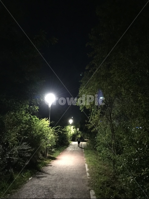 통로,path,공원,밤,산책,전등,park,자전거길,night