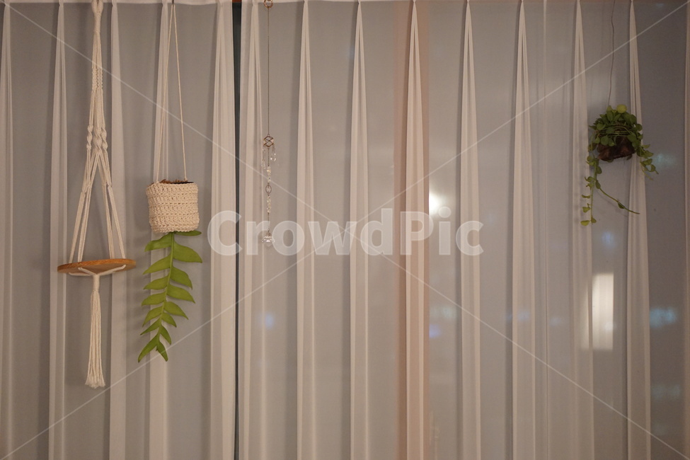 식물,plant,홈테코,플랜테리어,창문,거실,가정장식,homedecor,인테리어,실내디자인,interior design