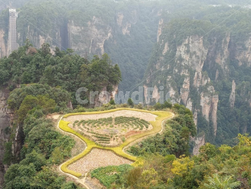 장가계,중국트래킹,풍경,경치,산,자연,풍경,nature,landscape