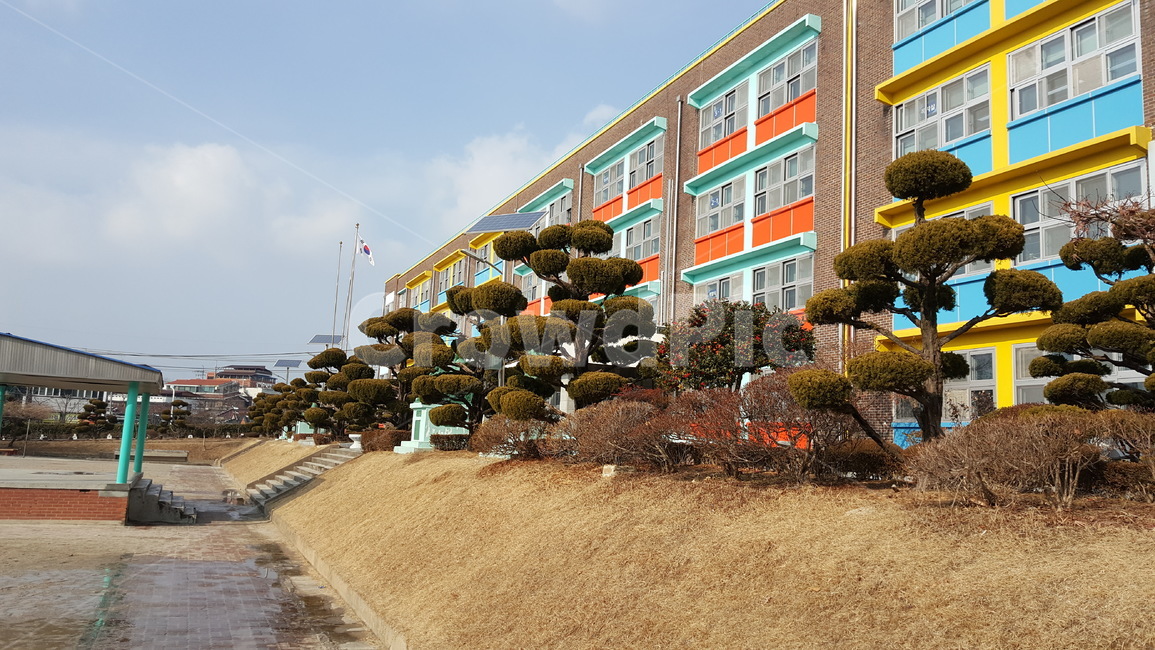 초등학교,초등학교외관,초등학교전경,학교외관,학교건물,학교전경,학교,school,건축물,건물외관,exterior,building,structure,architecture,construction