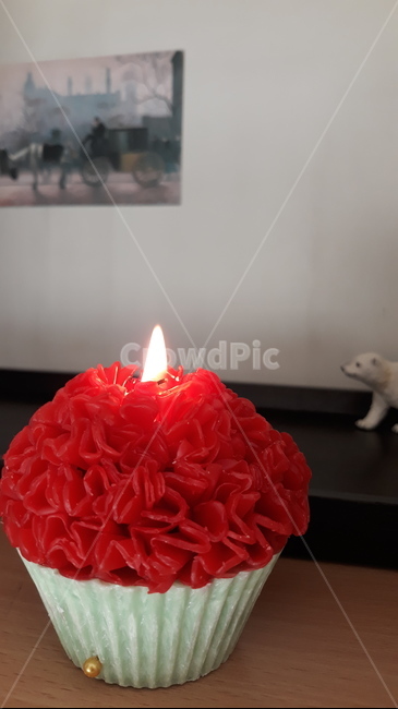 양초,수제캔들,캔들,카네이션,불씨,촛농