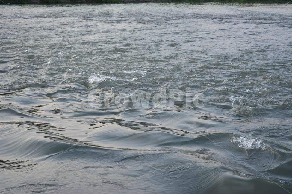 물,water,강,물결,물살
