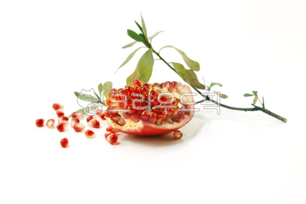 석류, 과일, 열매, fruit, pomegranate, 사진,이미지,일러스트,캘리그라피 - artin작가