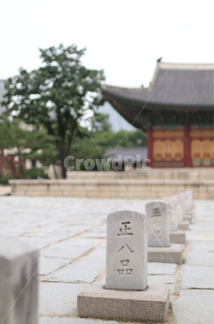 고궁,건물,나무,palace,building,tree,한국전통,한국문화,korean traditional,korean culture