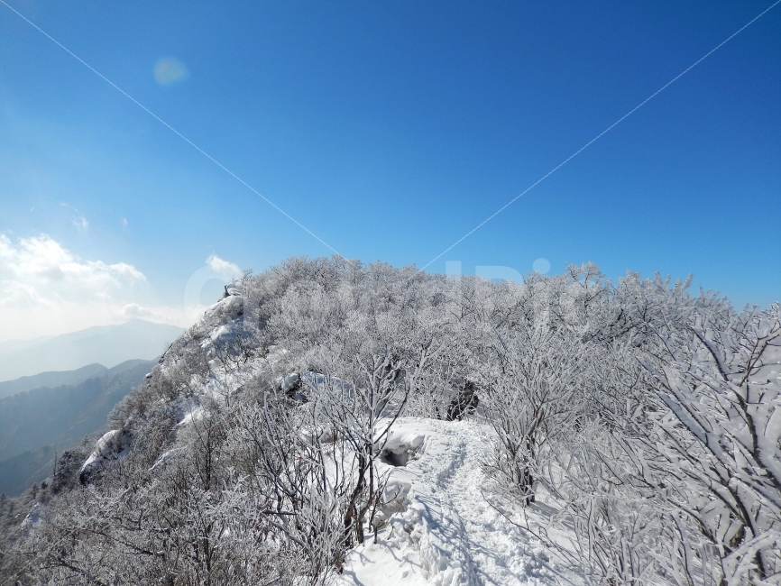 소백산,눈꽃풍경,상고대,겨울풍경,국립공원,겨울동화,힐링,감성,아름다움,뷰티풀,설국,눈풍경,파란하늘,100대명산,겨울명산,설경,서리꽃,영동,snow,landscape,눈,화이트,자연,신비로운,경이로운,천상,비경,치유,겨울,계절,winter,season,자연,풍경,nature,landscape,한국자연풍경,한국자연경관,korea nature landscape,mountain,산,outdoors,옥외,mountain range,산맥
