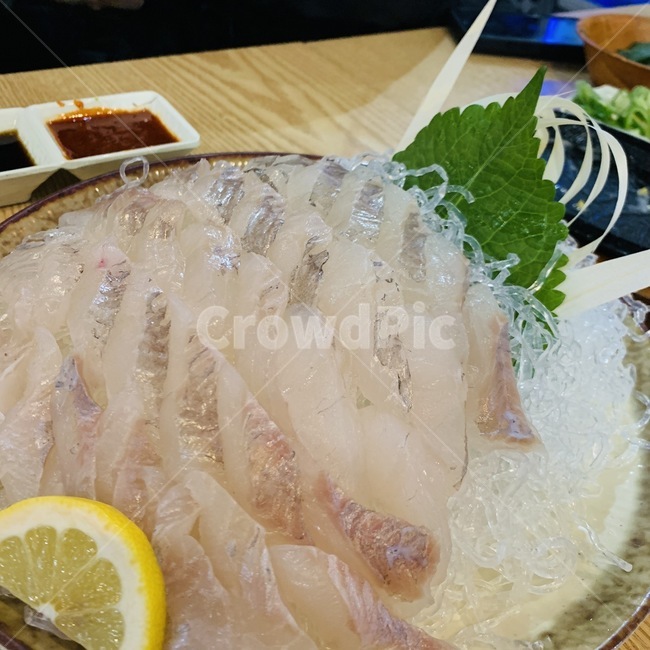 food,음식,우럭,회,횟집,해산물