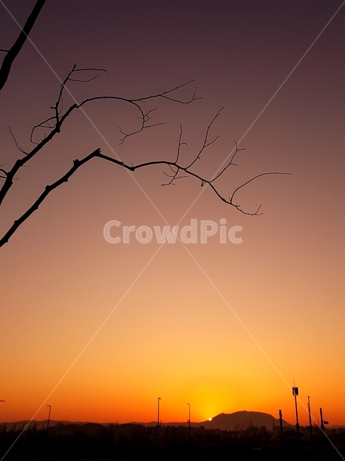 일출,풍경,해,자연,빛,자연,풍경,nature,landscape,outdoors,옥외,silhouette,실루엣,sky,하늘,dusk,황혼,red sky,붉은 하늘,dawn,새벽,sunset,일몰