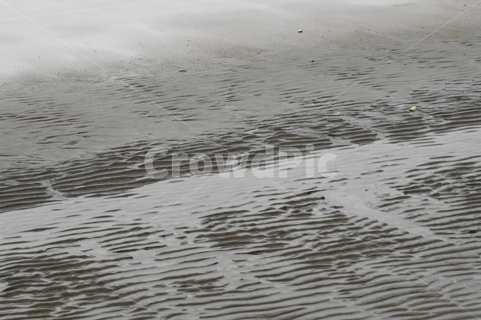 바닷가,모래,물결무늬,백사장,3월,자연,풍경,nature,landscape