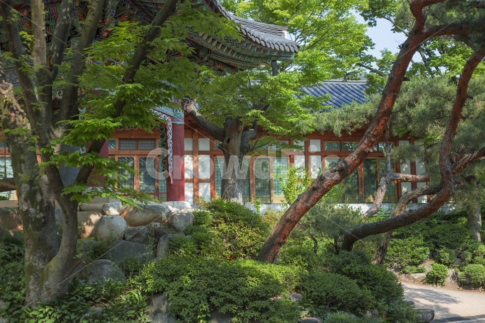 사찰,절,자연,한옥,단청,불교,길상사,전통,전통가옥,temple,traditional,법당,나무,색감