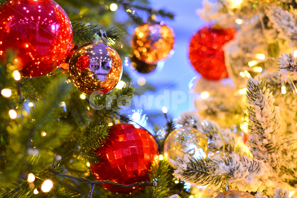 크리스마스,성탄절,장식물,트리,데코레이션,디스플레이,전시용,크리스마스볼,christmas,xmas,예수탄생일,공,볼,원형,조명,전구,빛,라이트반사,광택,분위기,배경,바탕,백그라운드,칼라풀,colorful,decoration,display,ball,light