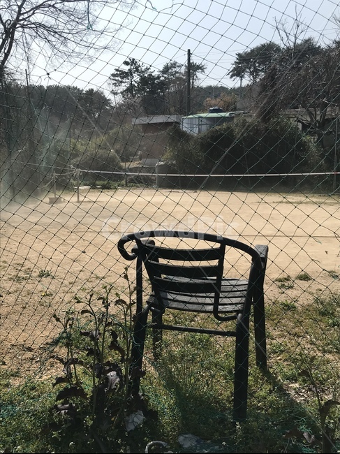 의자,chair,ground,furniture,시골