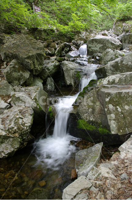계곡,산,숲,나무,바위,돌,물,자연,풍경,nature,landscape,water,river,강,outdoors,옥외